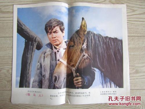 买个假的佐治亚州驾照